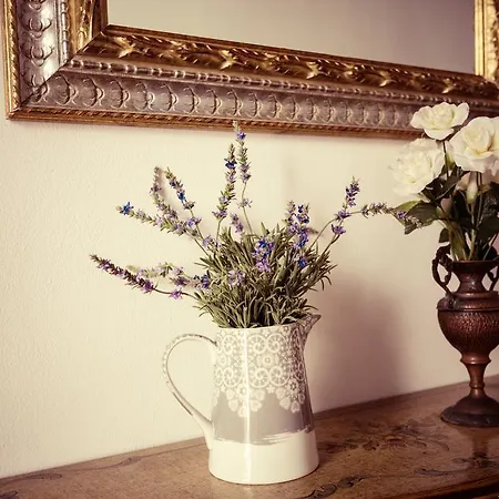 Casa Marta * Cortone